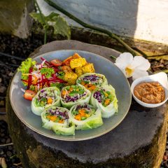 Gado-Gado-[N]-Cocoku