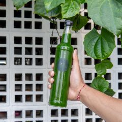 Papaya-Leaf-Juice